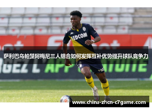 萨利巴乌帕楚阿梅尼三人组合如何发挥互补优势提升球队竞争力 萨利巴乌帕楚阿梅尼三人组合如何发挥互补优势提升球队竞争力
