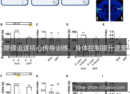 障碍追逐核心传导训练,身体控制提升速度 障碍追逐核心传导训练,身体控制提升速度